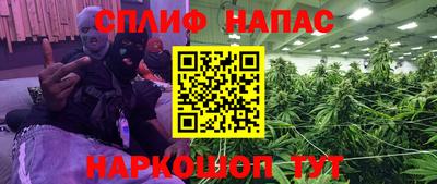 стафф Гусев