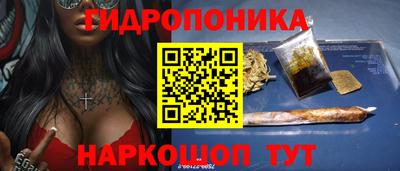 стафф Гусев