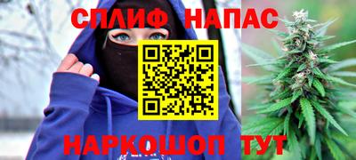 стафф Гусев