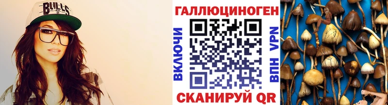 хочу   Нурлат  Галлюциногенные грибы Psilocybine cubensis 
