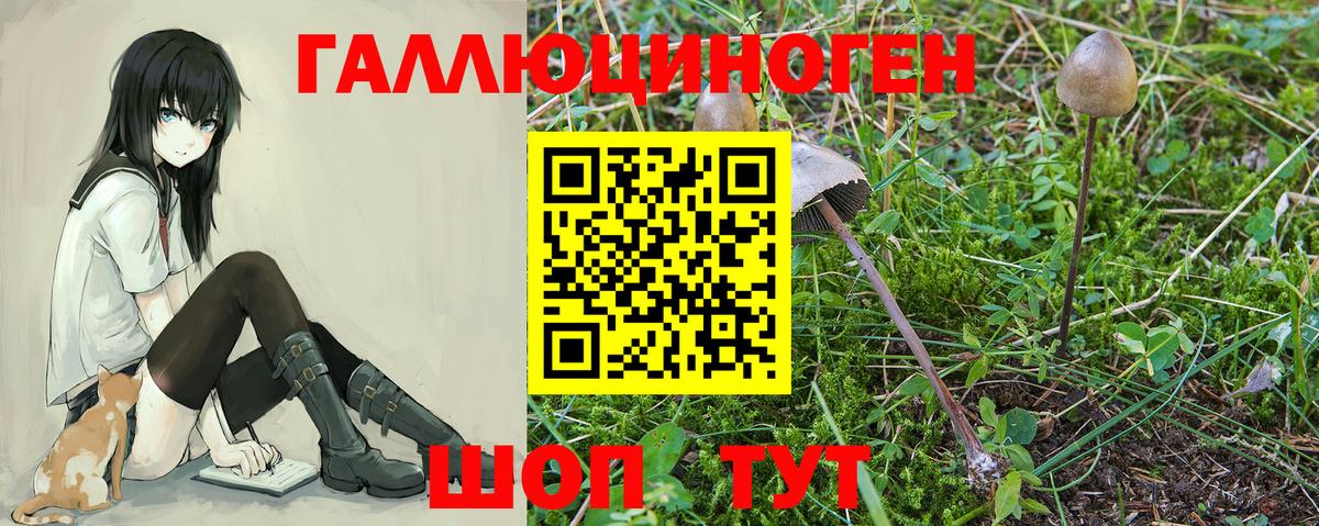 Нурлат  Псилоцибиновые грибы прущие грибы  Вход с VPN  Галлюциногенные грибы мицелий 